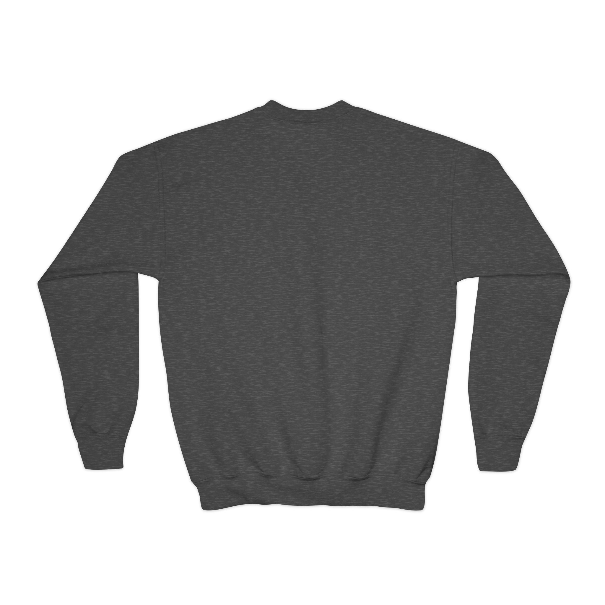 Youth Crewneck Sweatshirt "Emotionally Attached to My Book Boyfriend" – Cozy Literary Teen Sweatshirt